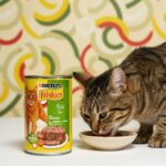 Nourriture de chat POLLO Lata 400g x 12 – Image 2