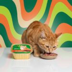 Pate de chat Salamon 300g – Image 2