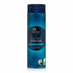 Today Men Duschgel Fresh 300ml x8