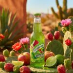 Boisson TYMBARK Cactus – Citron – Pomme 250 ml – Image 2