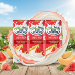 Don Simon Pastèque – Melon 200ml x6 – Image 2